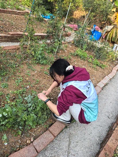 微信图片_20250402161046.png