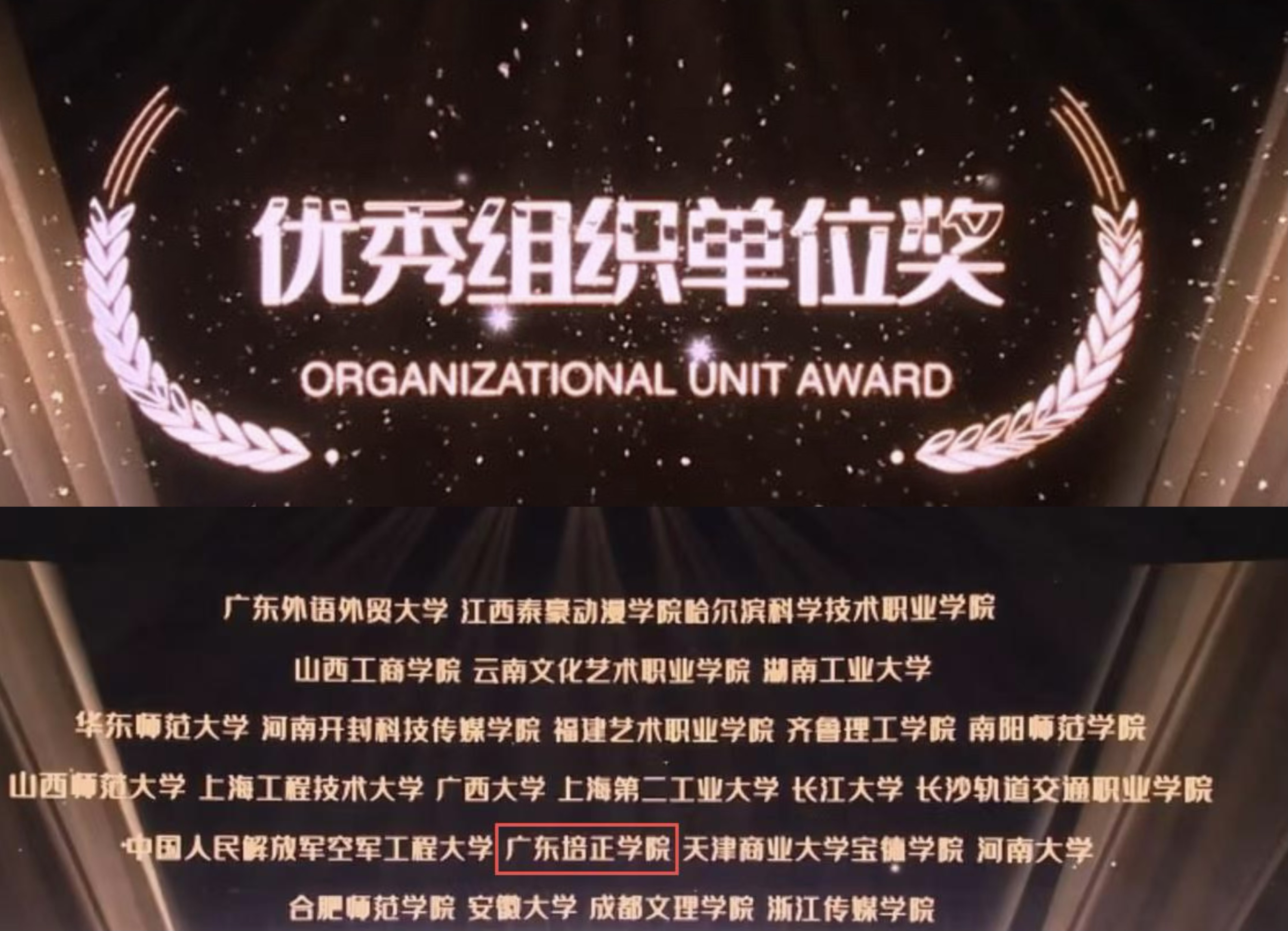 第五届国际大学生配音艺术节 (3).jpg